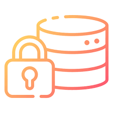 Data Safety